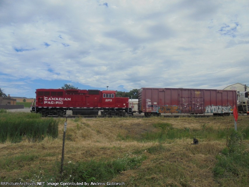 CP 2273 + COER 171247